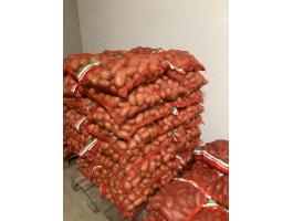 Sárga burgonya étkezési és vetőméretű Babylon