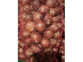 Vöröshagyma, közepes méretű eladó