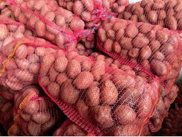 Deesire burgonya eladó