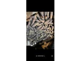 Étkezési hengeres cékla nagy tételben eladó