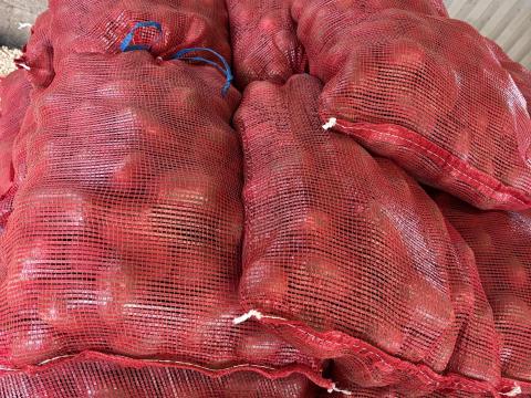 Rocco mosott étkezési burgonya eladó