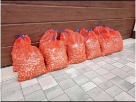 Makói CR dughagyma eladó