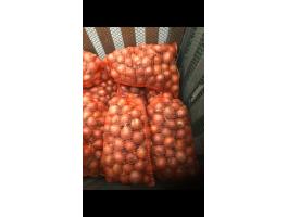 Vöröshagyma eladó