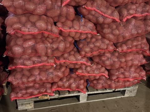 Esmee burgonya többféle kiszerelésben eladó