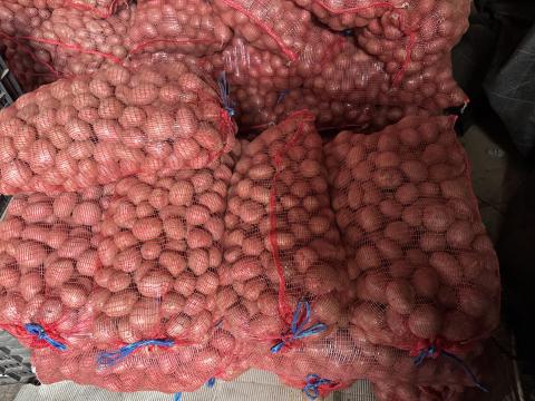 Balatoni Rózsa vetőburgonya Balatoni Rózsa vetőburgonya