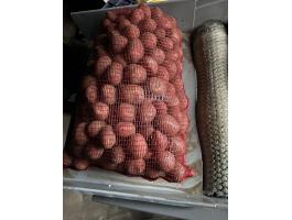 Balatoni Rózsa vetőburgonya