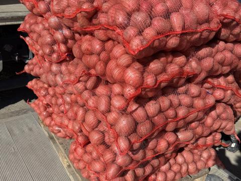 Balatoni Rózsa étkezési burgonya Balatoni Rózsa étkezési burgonya