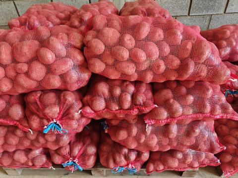 Hűtőházi étkezési burgonya eladó őstermelőtől Hűtőházi étkezési burgonya eladó őstermelőtől