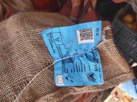 Red scarlet Red scarlet