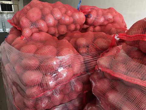 Étkezési burgonya, Balatoni Rózsa Étkezési burgonya, Balatoni Rózsa