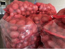 Étkezési burgonya, Balatoni Rózsa