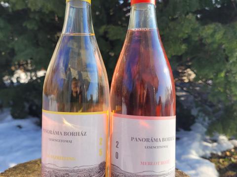 Palackozott és folyóborok a Balaton-felvidékről, Lesencetomaj