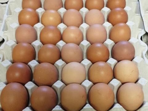 Friss étkezési tojás eladó Friss étkezési tojás eladó