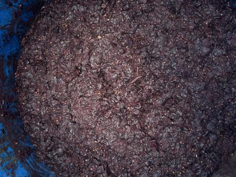 Cabernet Sauvignon bogyózott törköly a Villányi-Kisharsány borvidékről