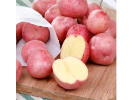 Eladó Bellarosa vetőburgonya