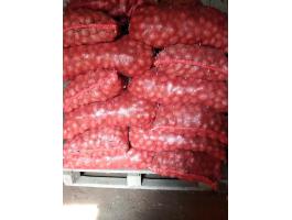 Vetőburgonya eladó