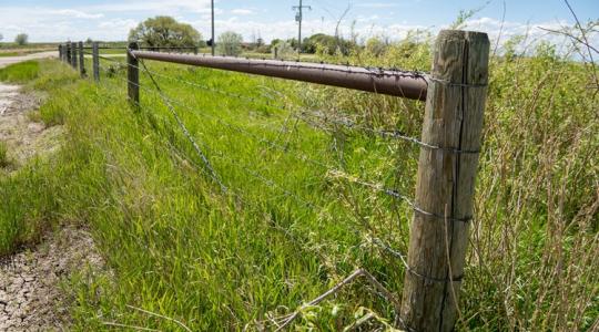 Tabudöntő elemzés a vadászatról: kétszer körbeérné az országot a somogyi vadvédelmi kerítés Tabudöntő elemzés a vadászatról: kétszer körbeérné az országot a somogyi vadvédelmi kerítés