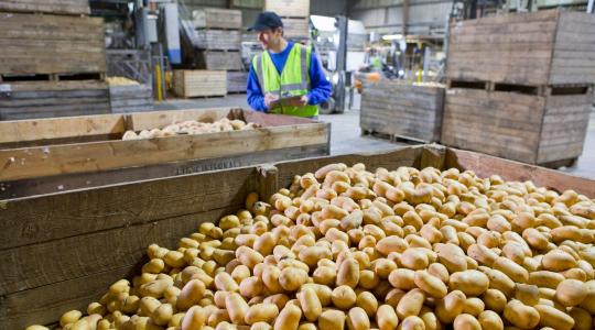 Megszületett a Nemzeti Élelmiszer-önrendelkezési Index: 9 indikátor alapján mérik a magyar agráriumot Megszületett a Nemzeti Élelmiszer-önrendelkezési Index: 9 indikátor alapján mérik a magyar agráriumot