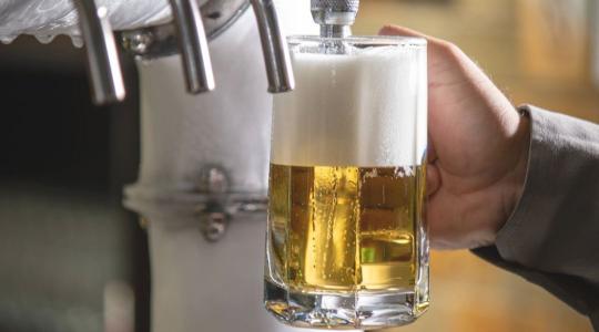 Komlópiaci válság: mi áll a sörgyártás alapanyagának mélyrepülése mögött?