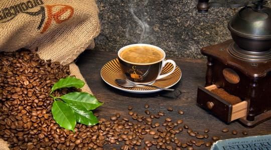Veszélyben a kávé, de itt a megoldás: visszatérhet egy elfeledett faj