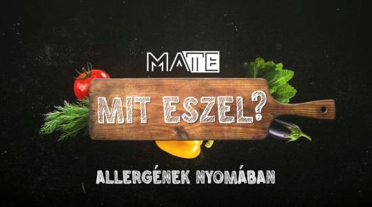 Ha egy falat is elég a bajhoz – Allergének a mindennapokban