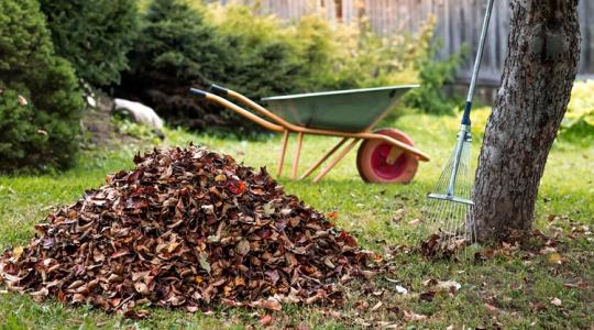 Rendetlennek tűnik a kert, de a sünök jól alszanak: te vállalod?