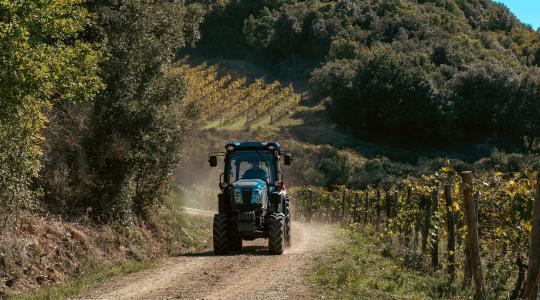 Új játékos a szőlőültetvényeken – bemutatkozott a Solis N90
