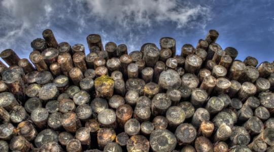 Lehet szidni a fatüzelést, de ez az energetikai tartalékunk Lehet szidni a fatüzelést, de ez az energetikai tartalékunk