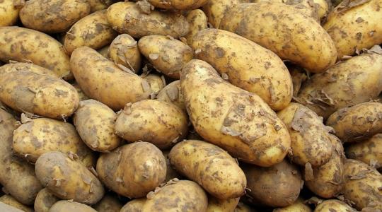 Óriásberuházás: olyat épít a MAIS, amilyen még nem volt Ukrajnában Óriásberuházás: olyat épít a MAIS, amilyen még nem volt Ukrajnában