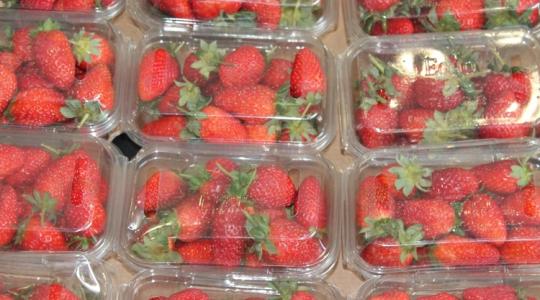 Most kell lépni: új uniós csomagolási szabályok jönnek Most kell lépni: új uniós csomagolási szabályok jönnek