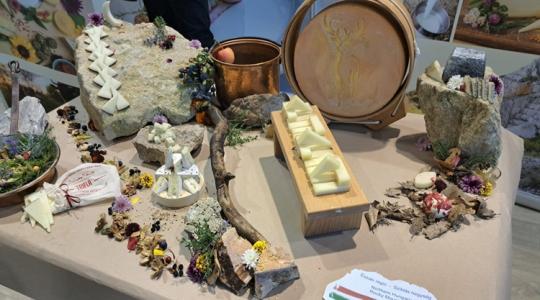 Kiderült, mitől olyan jó a Bükk lábánál készült világbajnok sajt Kiderült, mitől olyan jó a Bükk lábánál készült világbajnok sajt