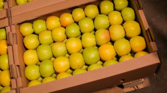 Kényes kérdés: mibe csomagolod a gyümölcsöt? Kényes kérdés: mibe csomagolod a gyümölcsöt?