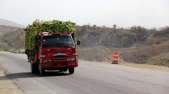 A magyarok luxusgyümölcse, amiért kígyóztak a sorok a szocializmusban