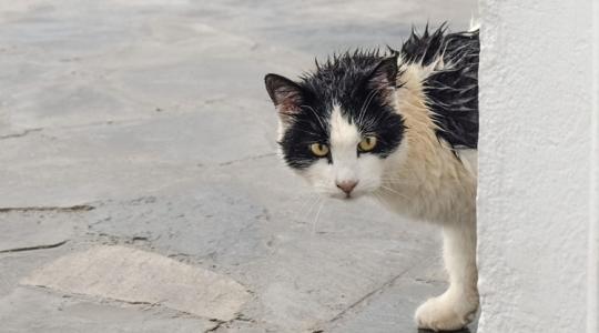 Időjárás: Hajnalra bekúszik fölénk a front – ezt hozza magával +VIDEÓ Időjárás: Hajnalra bekúszik fölénk a front – ezt hozza magával +VIDEÓ