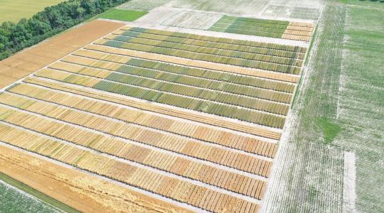 Az 5G lehet a fenntartható mezőgazdaság kulcsa – hazai projekt mutatja az utat