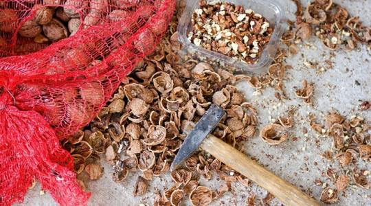 Ez a titok! Ha így tárolod a diót, nem fog megavasodni! Ez a titok! Ha így tárolod a diót, nem fog megavasodni!