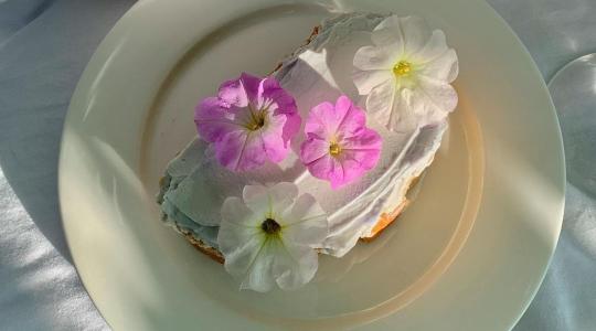 Az ehető virágok árnyoldala: mit rejtenek a tányérra kerülő szirmok? Az ehető virágok árnyoldala: mit rejtenek a tányérra kerülő szirmok?