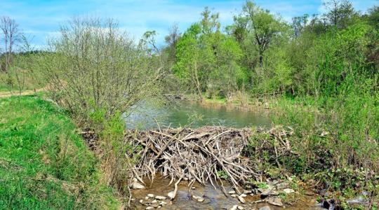 Termőföldek víz alatt – döbbenet, mi áll a háttérben Termőföldek víz alatt – döbbenet, mi áll a háttérben