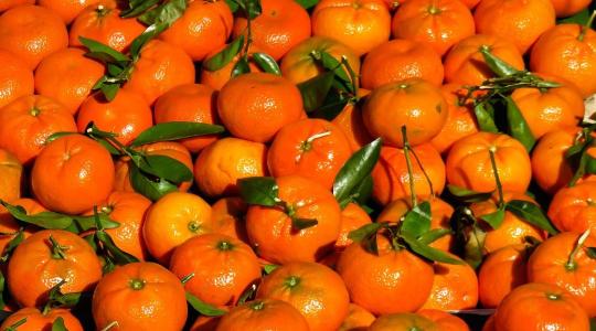 Bio, klementin, mandarin – nem mindegy, mit veszel le a polcról