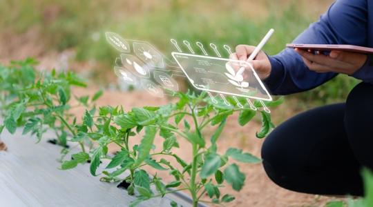 Agrártrendek 2026: fókuszban a generációváltás és a talajvédelem