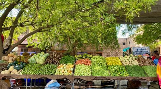 Vigyázz! A Nébih komoly veszélyre figyelmeztet ennek a zöldségnek a fogyasztásával kapcsolatban! Vigyázz! A Nébih komoly veszélyre figyelmeztet ennek a zöldségnek a fogyasztásával kapcsolatban!