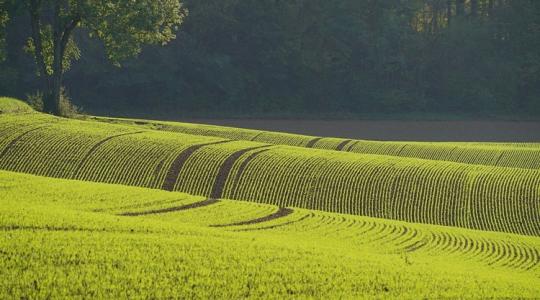 3 napos előrejelzés: Tavaszias meleg váratlan záporokkal, bármikor félbeszakadhat a munka 3 napos előrejelzés: Tavaszias meleg váratlan záporokkal, bármikor félbeszakadhat a munka