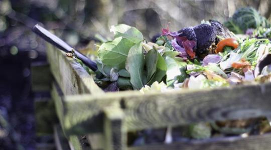 Meglepő, mennyi tápanyag van a komposztban Meglepő, mennyi tápanyag van a komposztban