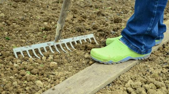 Ha ezt teszed a talajjal, több termésed lesz Ha ezt teszed a talajjal, több termésed lesz