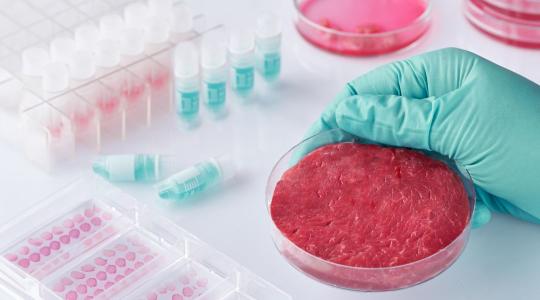 Rejtett kockázat a műhúsban: Az allergia, amivel nem számoltak a fejlesztők