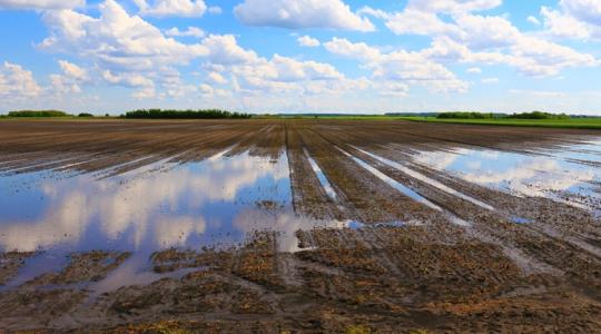 3 napos időjárás-előrejelzés: Traktorral, bútorral tető alá, mert jön a saras eső