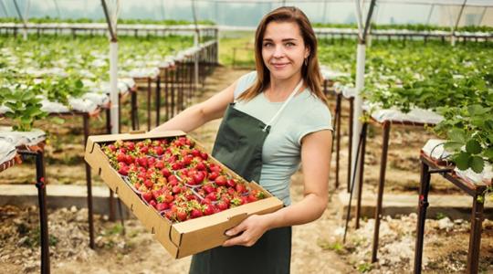 Aki nem vált,  annak 10 év múlva piaca sem lesz