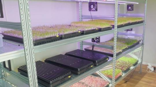 Rövid ciklus, fix vevőkör: ezért éri meg az új módszer