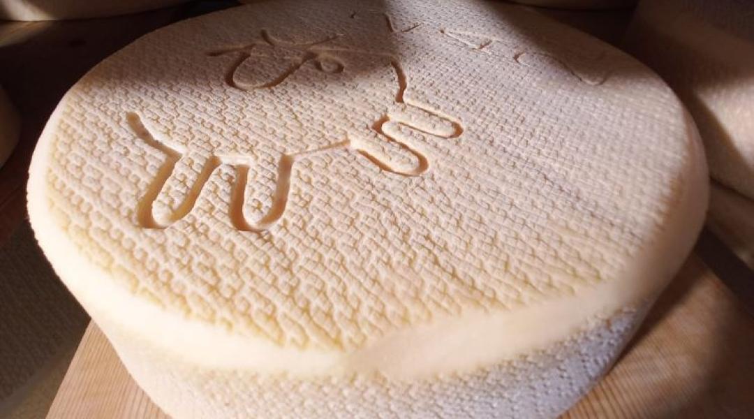 Svájci színvonal a Hargitán: Összefogtak a magyar és az erdélyi sajtkészítők