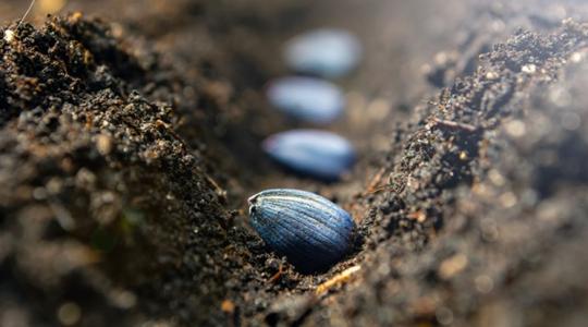Lassan halad a munka? Így van jól, most mások sem gyorsabbak